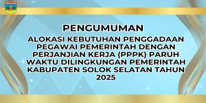 ALOKASI KEBUTUHAN PENGGADAAN PEGAWAI PEMERINTAH DENGAN PERJANJIAN KERJA (PPPK) PARUH WAKTU DILINGKUNGAN PEMERINTAH KABUPATEN SOLOK SELATAN TAHUN 2025